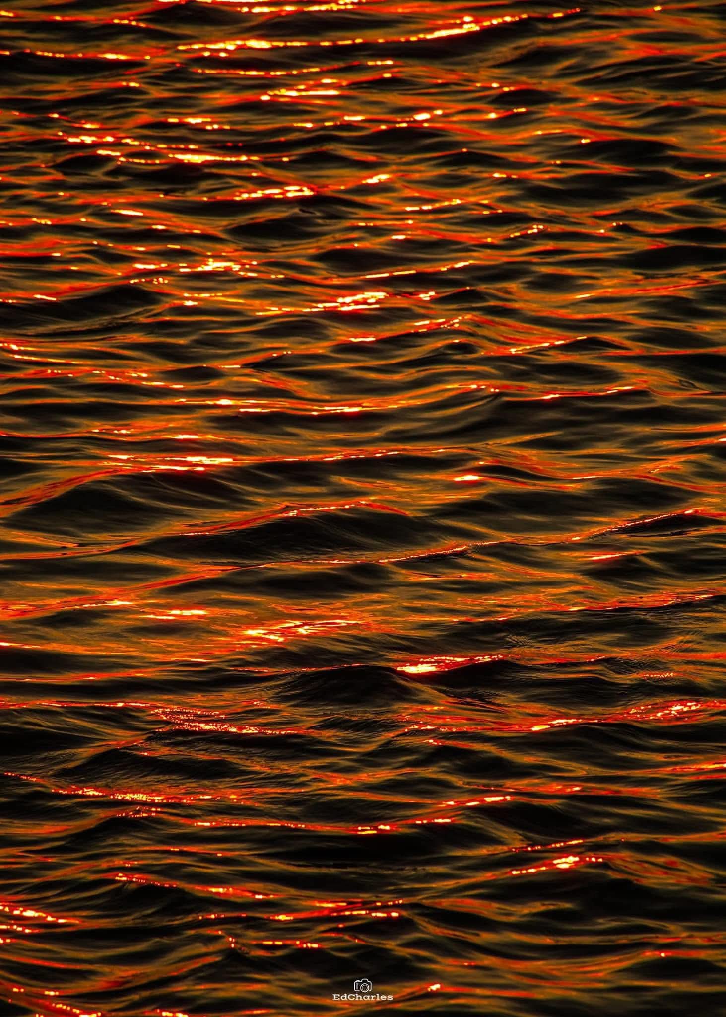 Feed Image