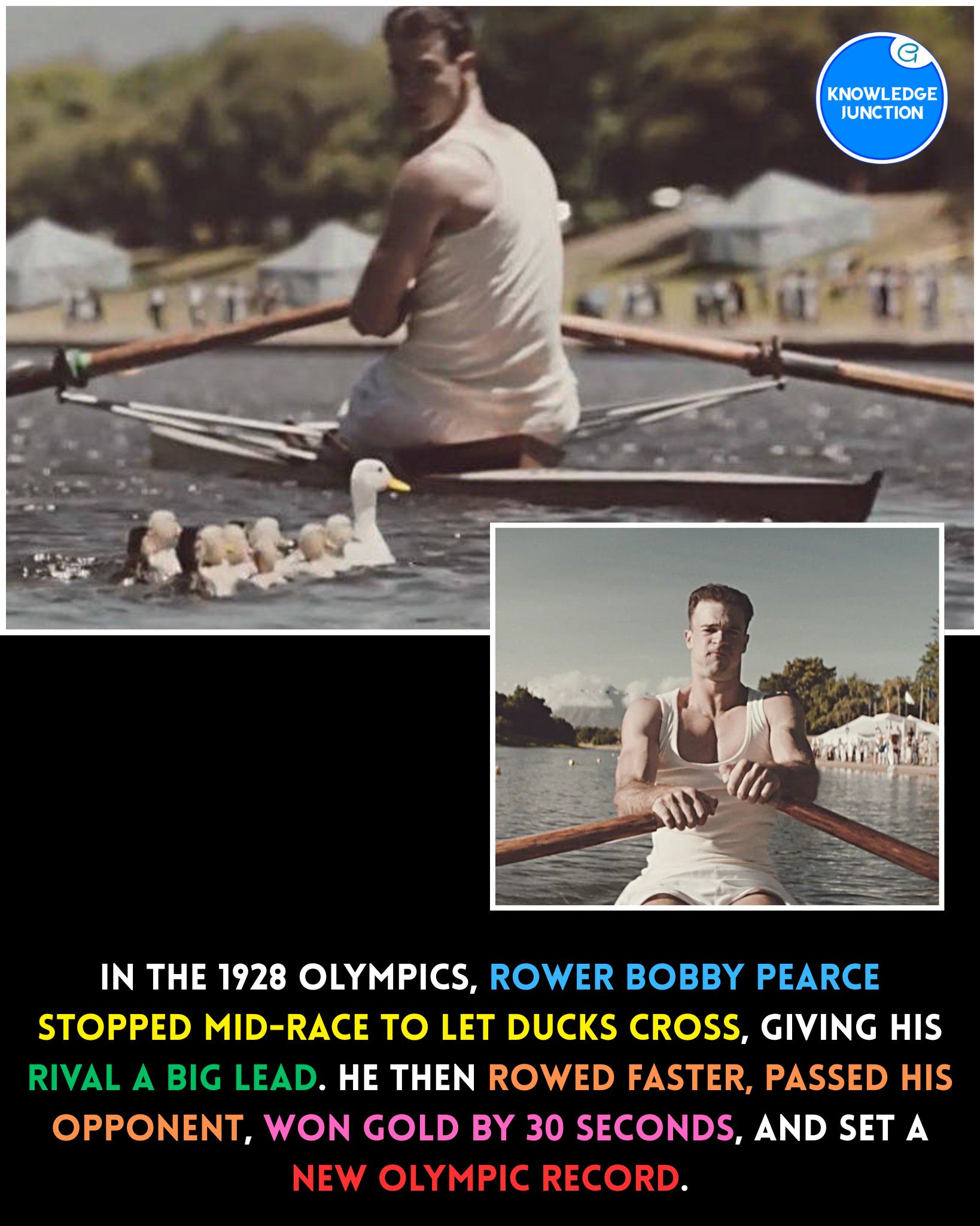 Feed Image