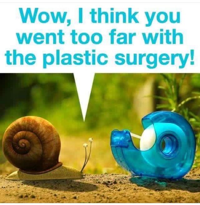 Feed Image