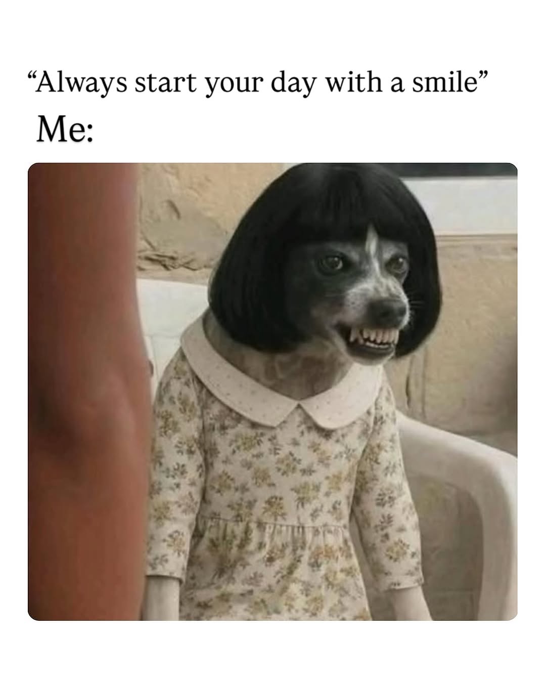 Feed Image