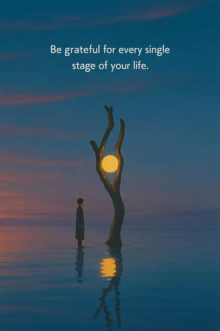 Feed Image