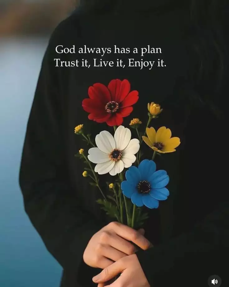 Feed Image