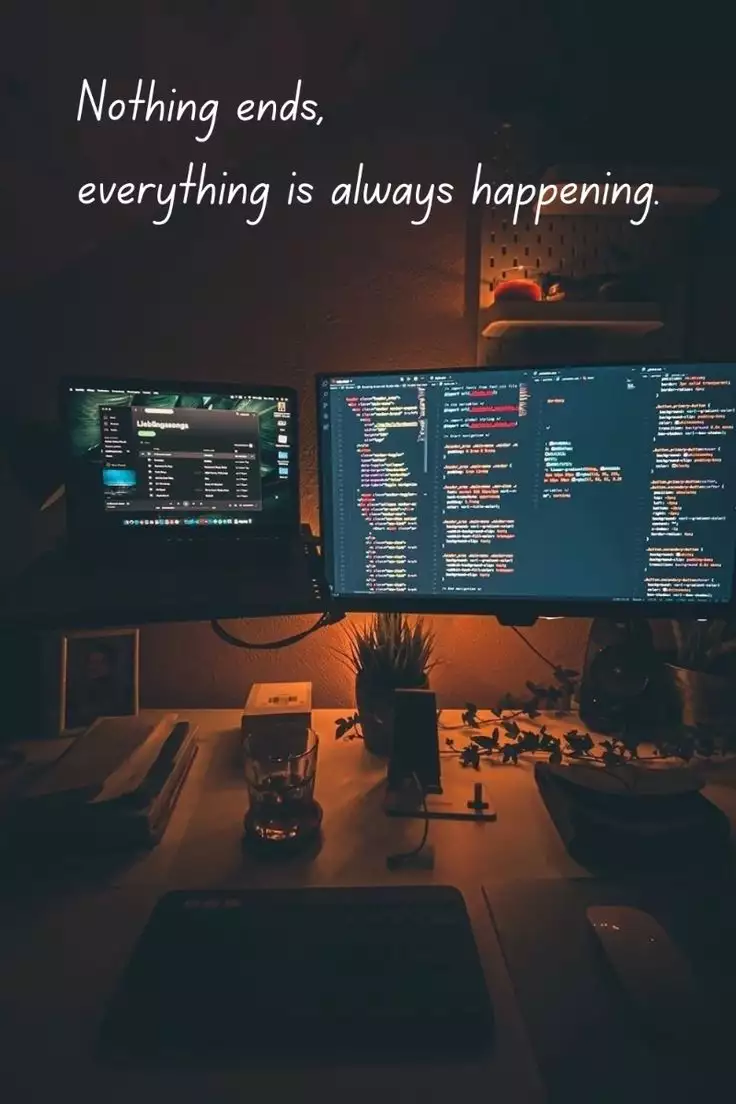 Feed Image