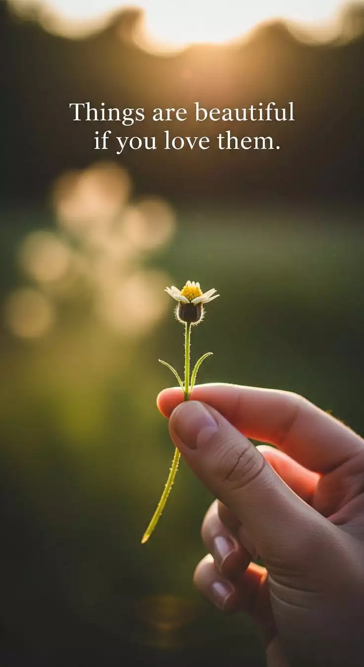 Feed Image